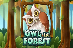 Owl in Forest Slot Machine